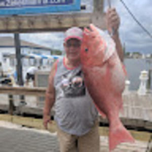 Meet your Posher, Delbert